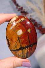 Tiger Iron Palm Stone 124gr Palm Stone Tali & Loz Crystals