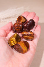 Tigers Eye Tumblestones 20-30mm - Tali & Loz Crystals