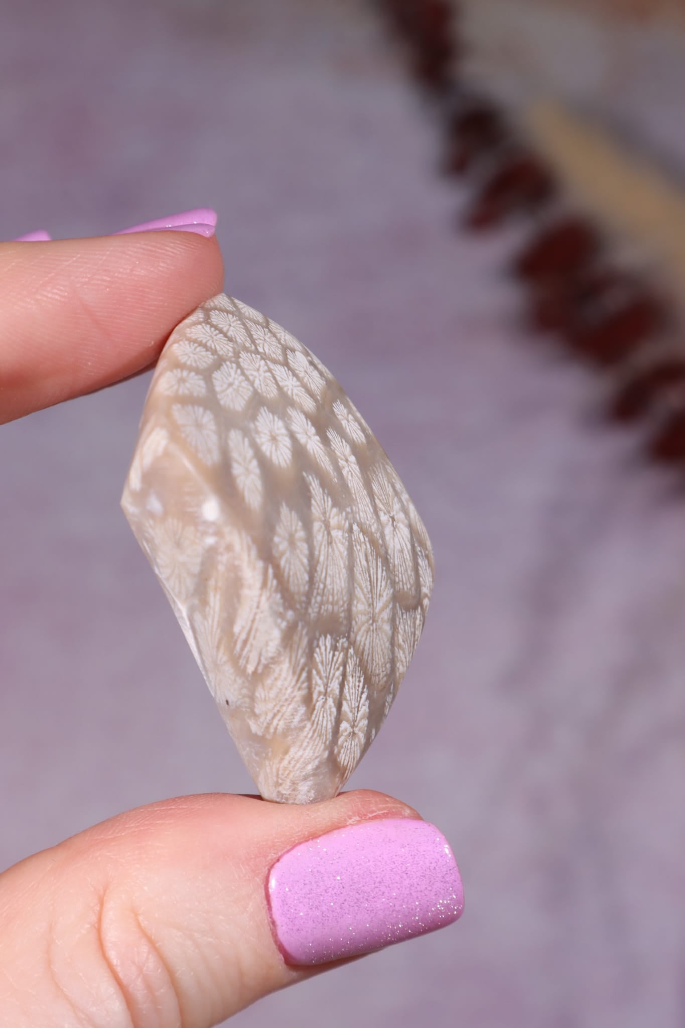 Tisbury Starstone Freeform Cabochon | 4.1cm | UK Fossil Tali & Loz Crystals
