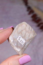 Tisbury Starstone Freeform Cabochon | 4.1cm | UK Fossil Tali & Loz Crystals
