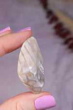 Tisbury Starstone Freeform Cabochon | 4.1cm | UK Fossil Tali & Loz Crystals