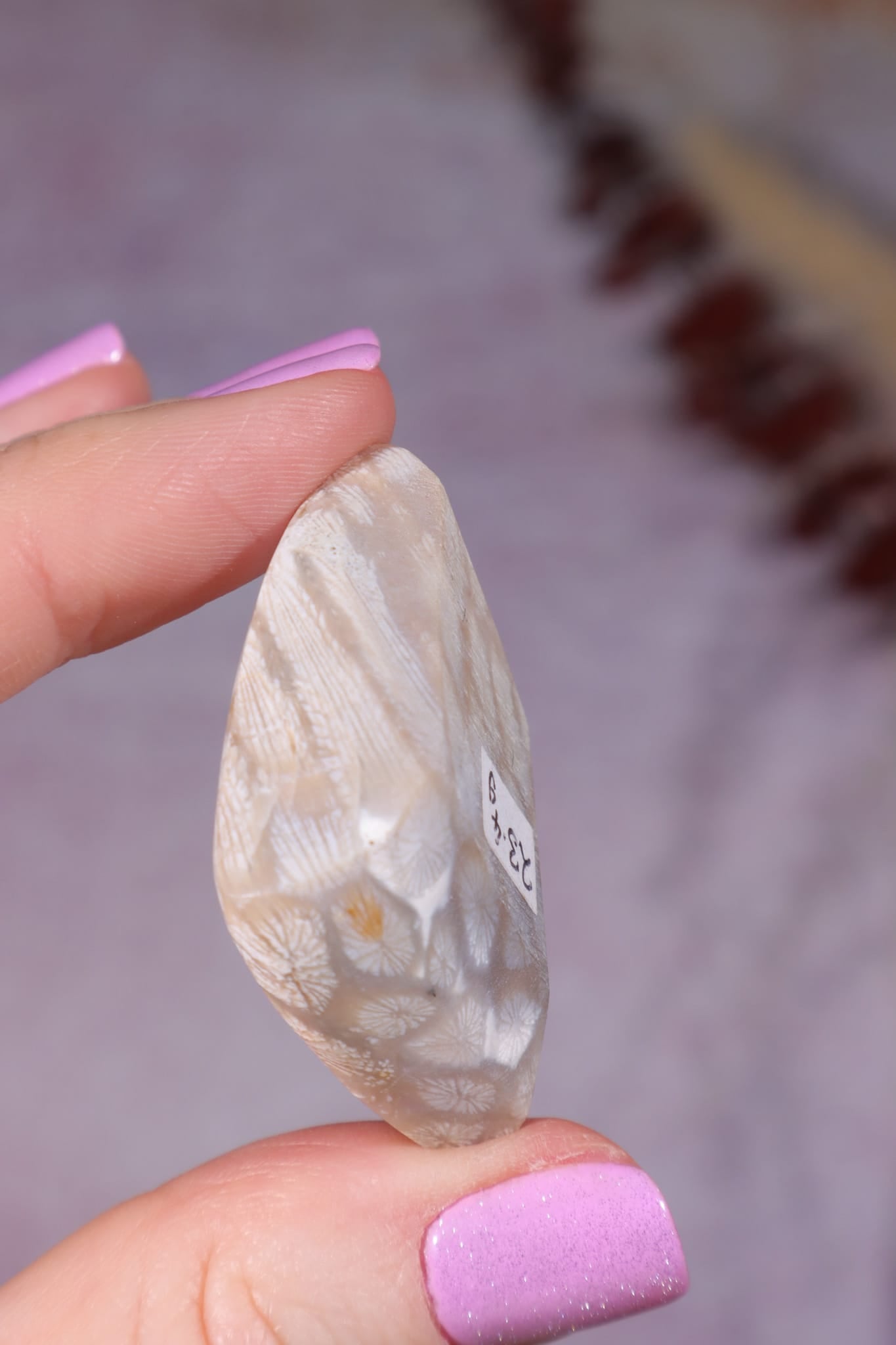 Tisbury Starstone Freeform Cabochon | 4.1cm | UK Fossil Tali & Loz Crystals
