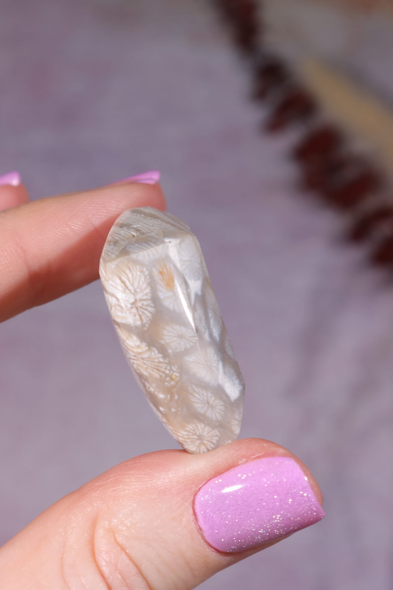 Tisbury Starstone Freeform Cabochon | 4.1cm | UK Fossil Tali & Loz Crystals