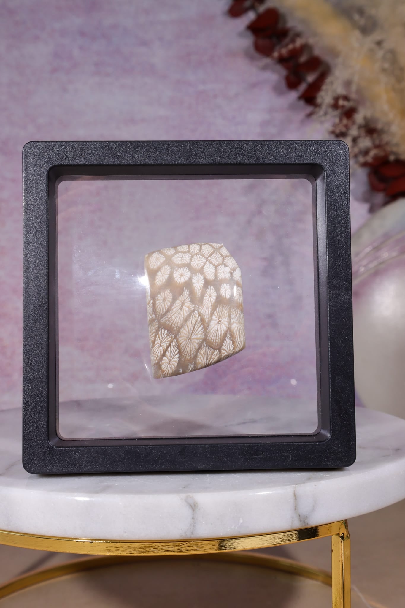 Tisbury Starstone Freeform Cabochon | 4.1cm | UK Fossil Tali & Loz Crystals