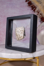 Tisbury Starstone Freeform Cabochon | 4.1cm | UK Fossil Tali & Loz Crystals