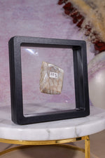 Tisbury Starstone Freeform Cabochon | 4.1cm | UK Fossil Tali & Loz Crystals