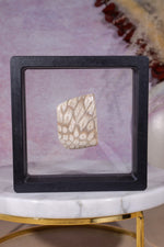 Tisbury Starstone Freeform Cabochon | 4.1cm | UK Fossil Tali & Loz Crystals