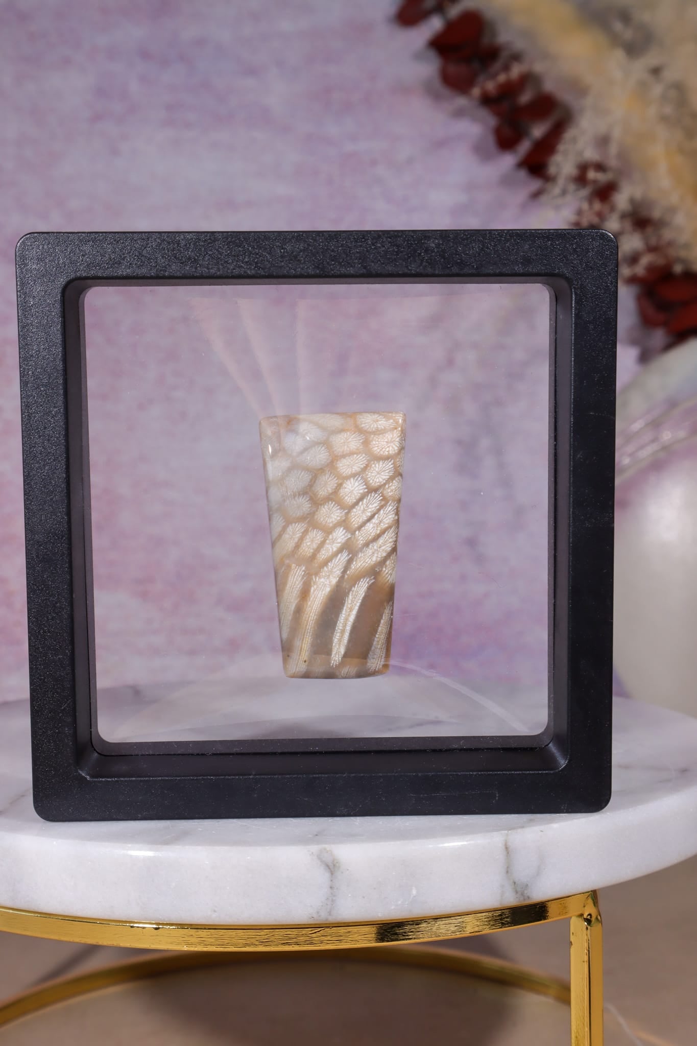Tisbury Starstone Freeform Cabochon | 4.2cm | UK Fossil Tali & Loz Crystals