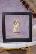 Tisbury Starstone Freeform Cabochon | 4.2cm | UK Fossil Tali & Loz Crystals