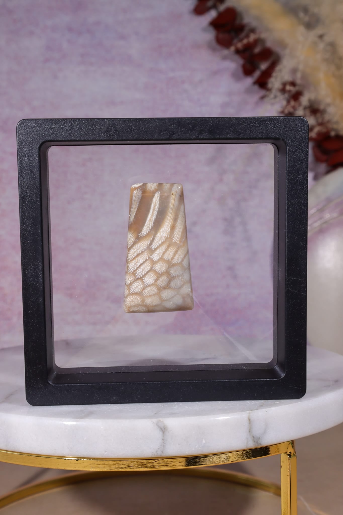 Tisbury Starstone Freeform Cabochon | 4.2cm | UK Fossil Tali & Loz Crystals