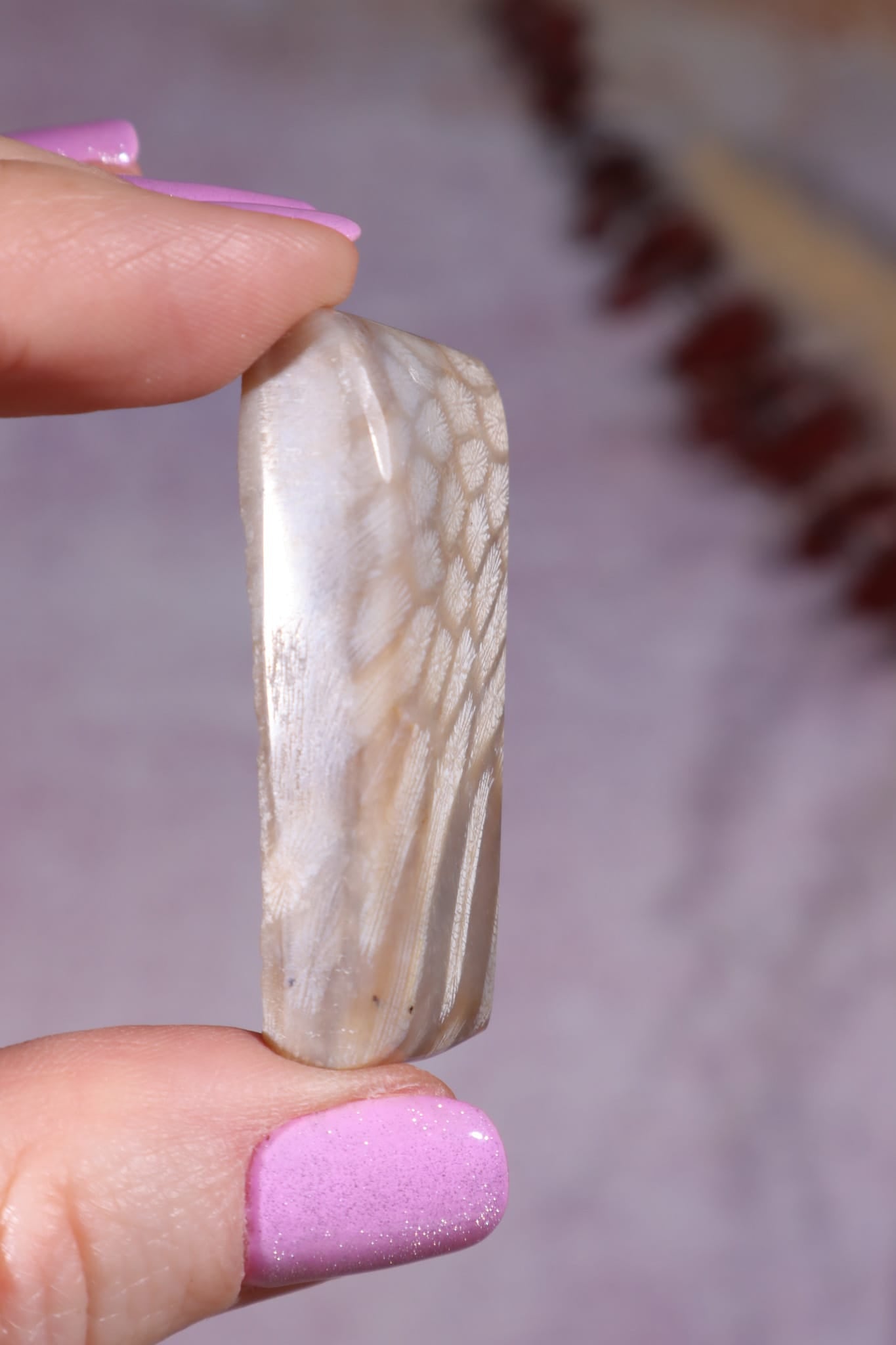 Tisbury Starstone Freeform Cabochon | 4.2cm | UK Fossil Tali & Loz Crystals