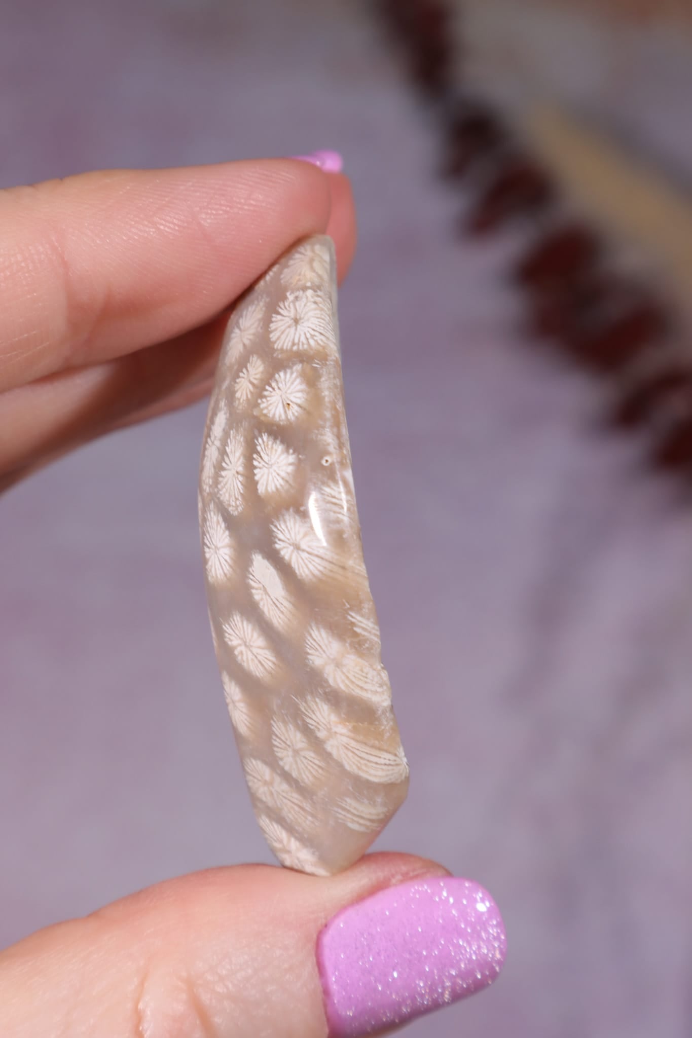 Tisbury Starstone Freeform Cabochon | 4.8cm | UK Fossil Tali & Loz Crystals