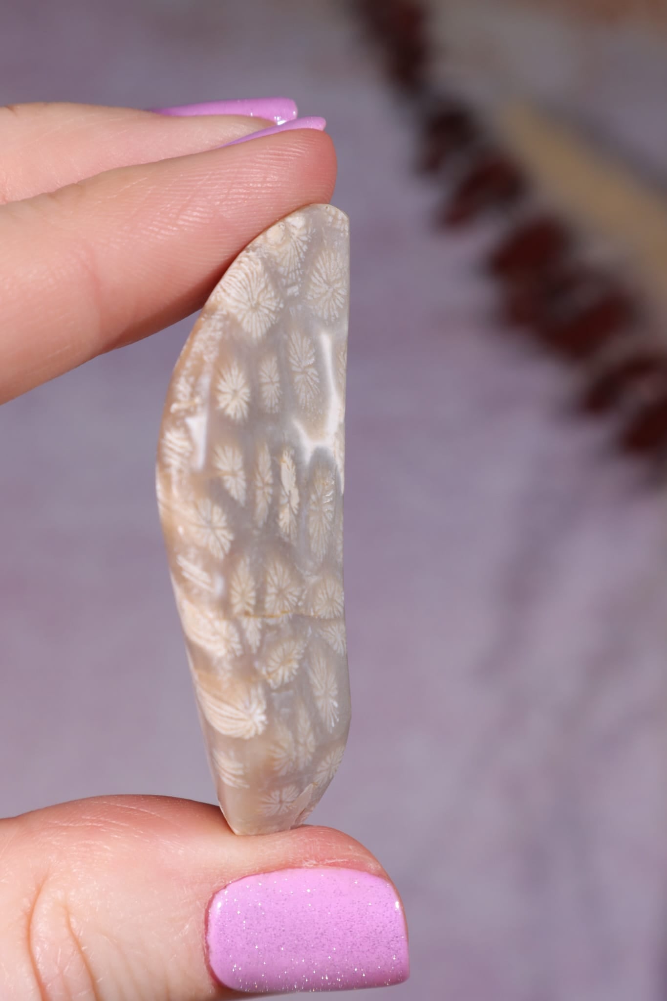 Tisbury Starstone Freeform Cabochon | 4.8cm | UK Fossil Tali & Loz Crystals
