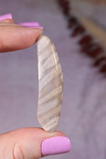 Tisbury Starstone Freeform Cabochon | 4.8cm | UK Fossil Tali & Loz Crystals