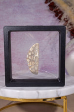 Tisbury Starstone Freeform Cabochon | 4.8cm | UK Fossil Tali & Loz Crystals