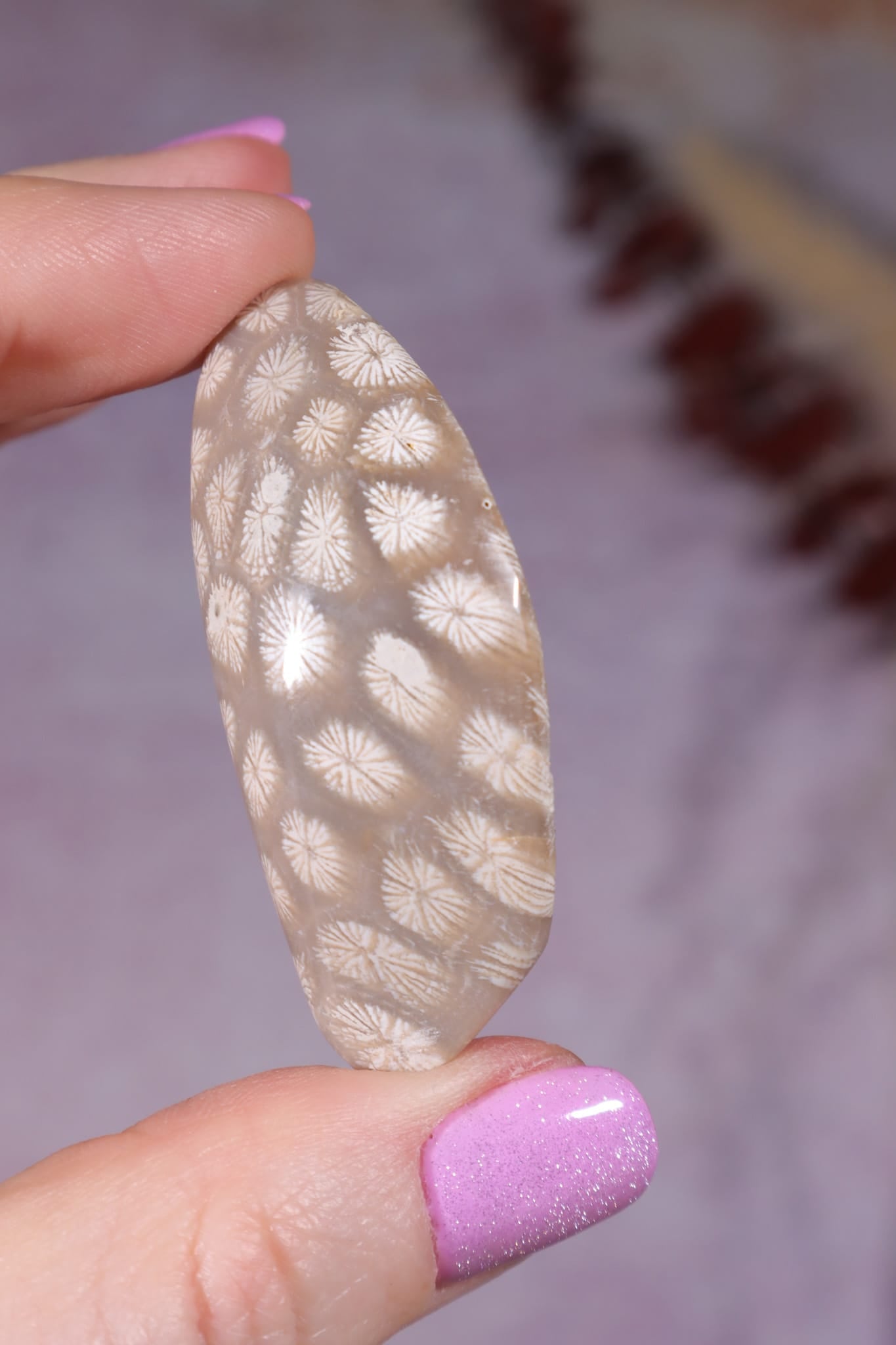 Tisbury Starstone Freeform Cabochon | 4.8cm | UK Fossil Tali & Loz Crystals