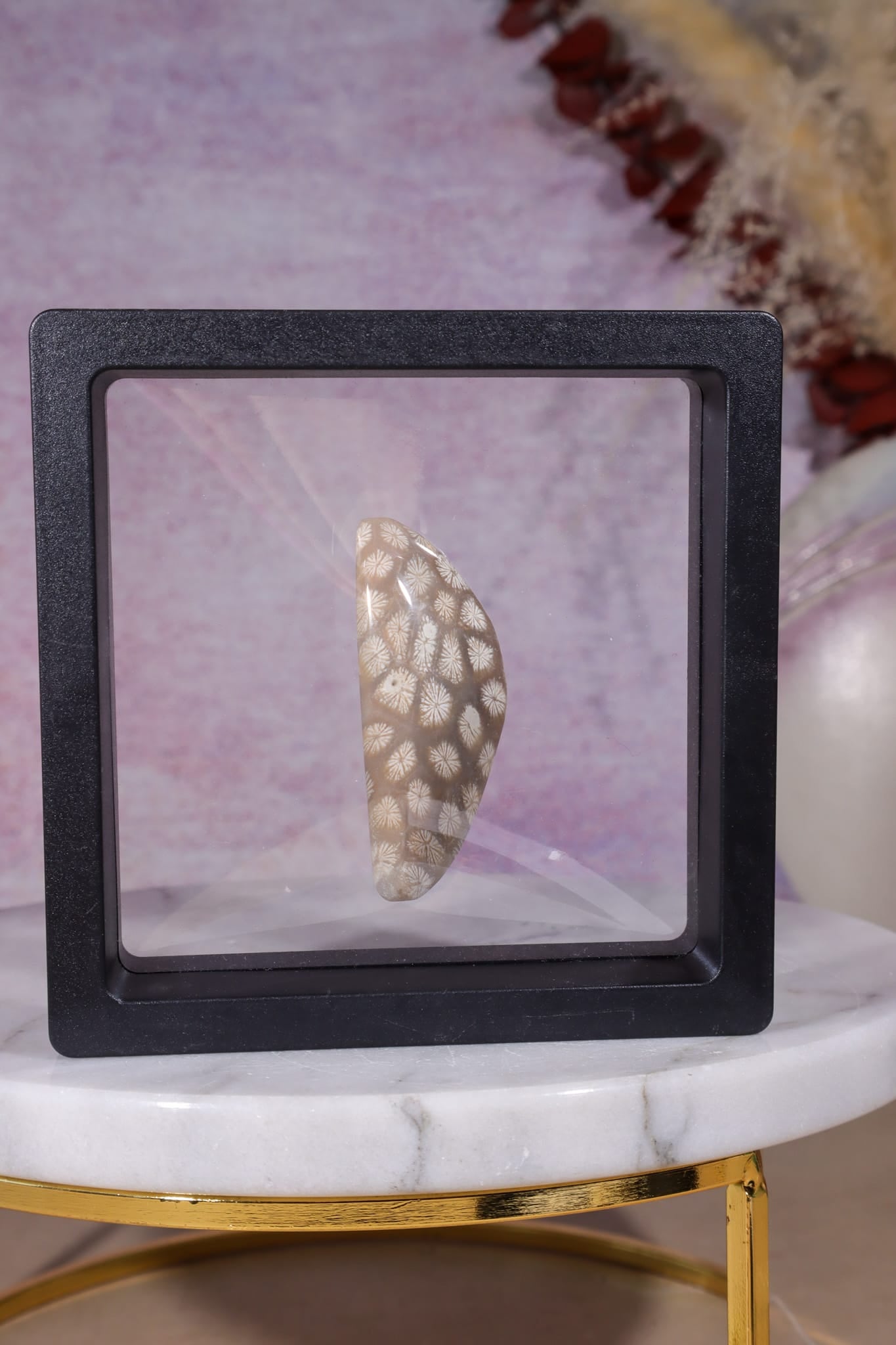 Tisbury Starstone Freeform Cabochon | 4.8cm | UK Fossil Tali & Loz Crystals