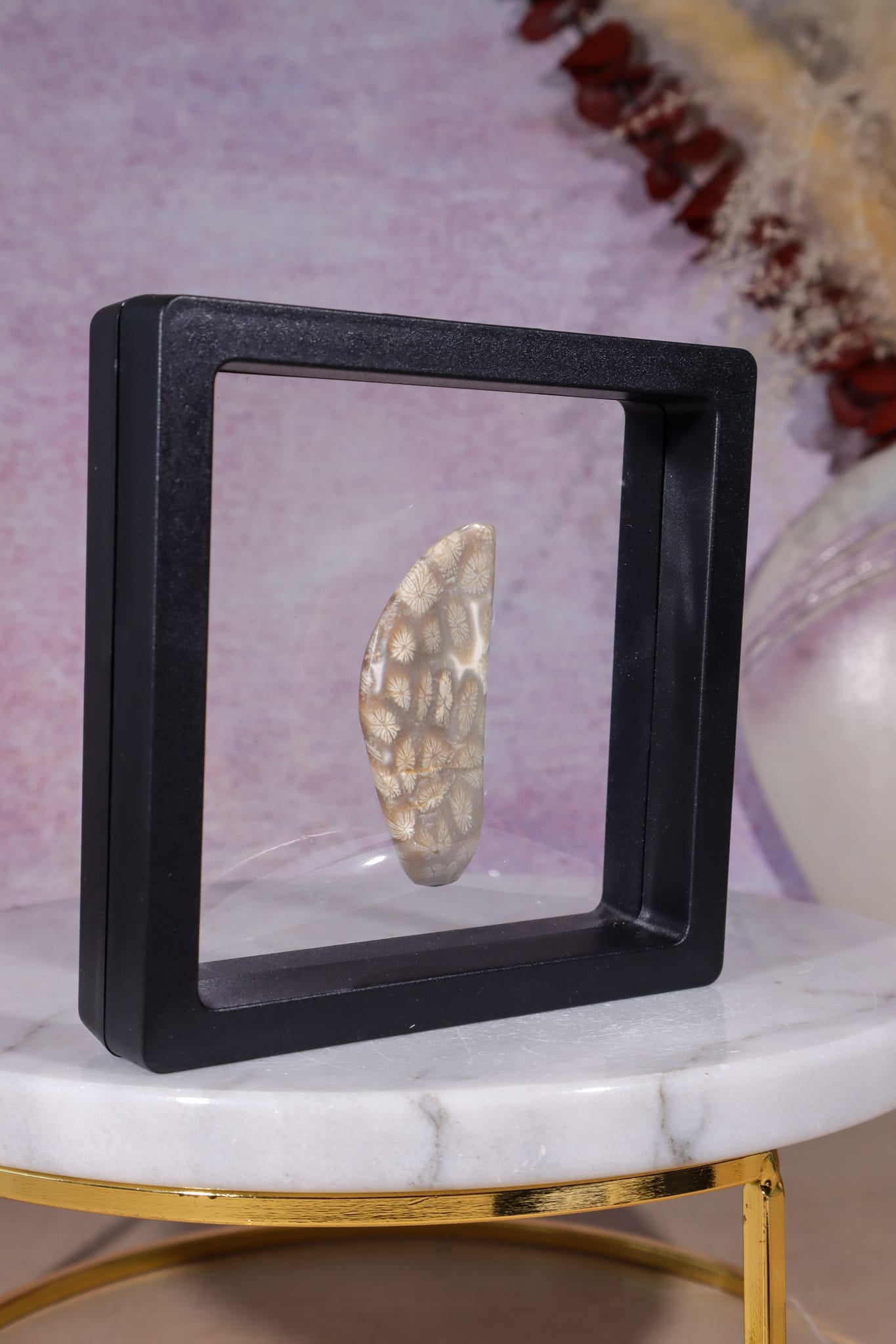 Tisbury Starstone Freeform Cabochon | 4.8cm | UK Fossil Tali & Loz Crystals