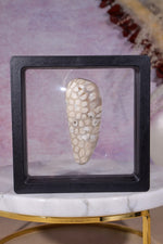 Tisbury Starstone Freeform Cabochon | 5.8cm | UK Fossil Tali & Loz Crystals