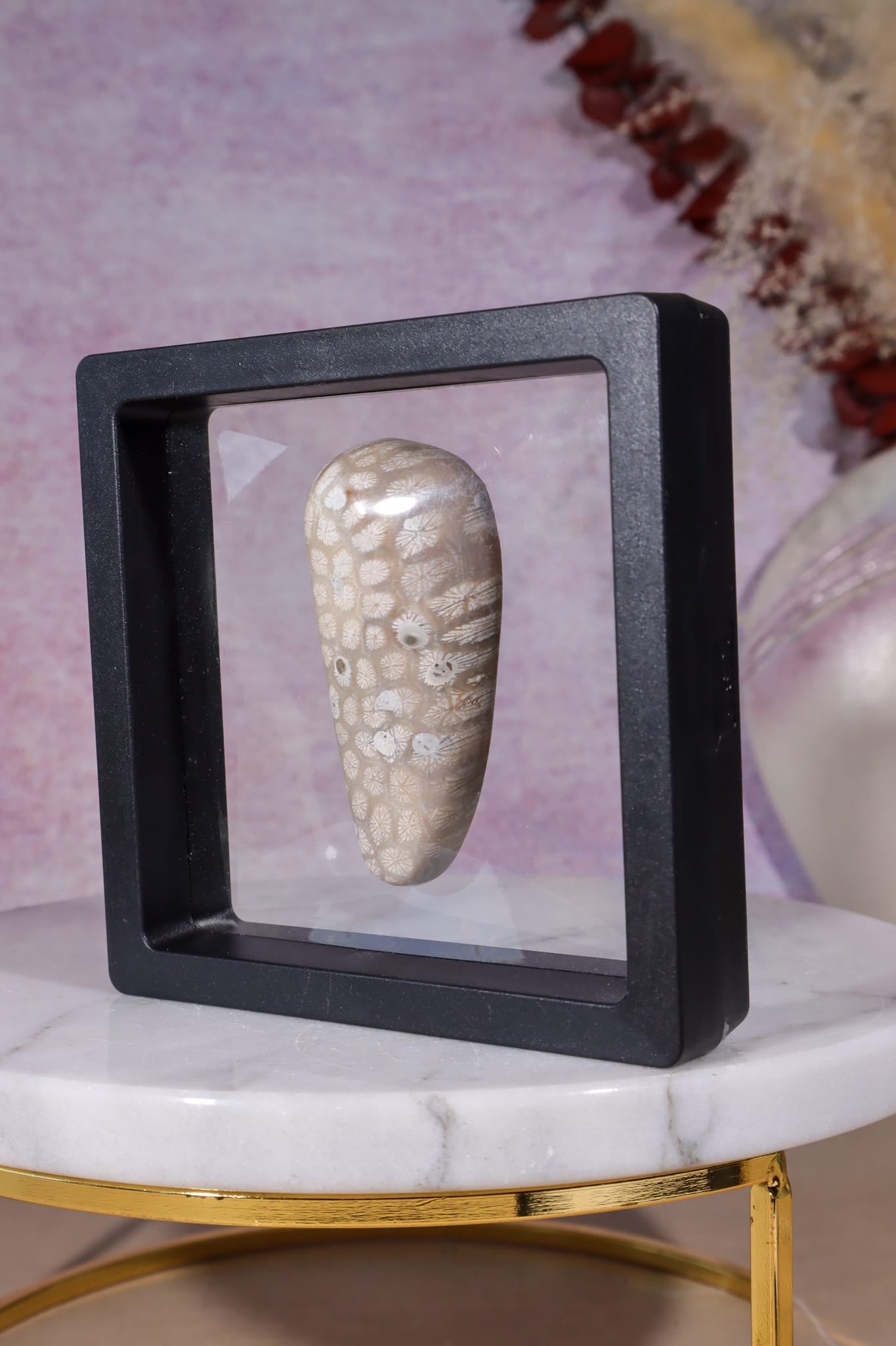 Tisbury Starstone Freeform Cabochon | 5.8cm | UK Fossil Tali & Loz Crystals