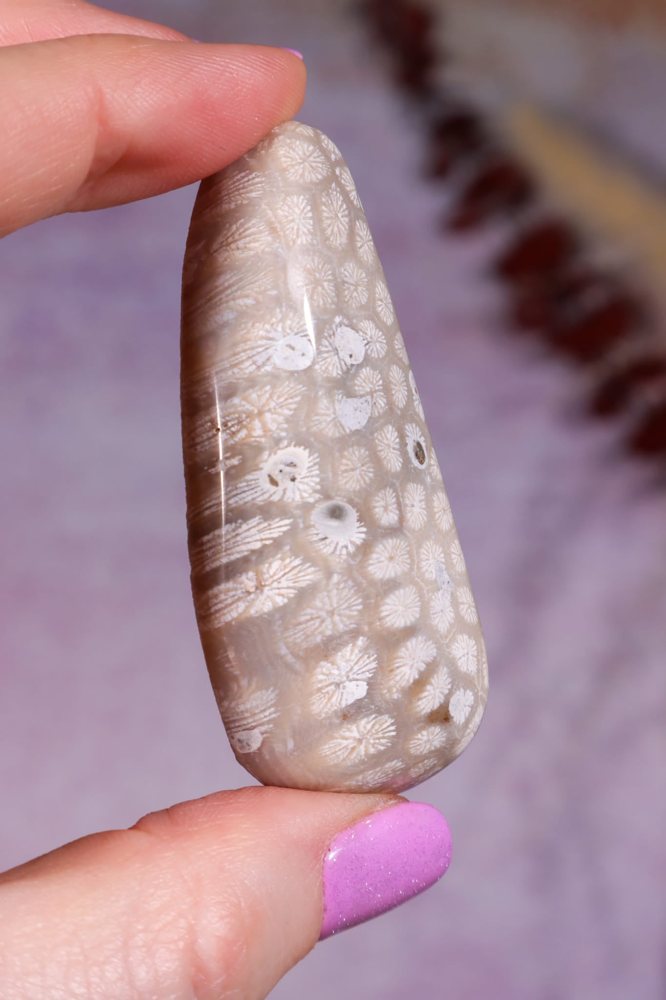 Tisbury Starstone Freeform Cabochon | 5.8cm | UK Fossil Tali & Loz Crystals