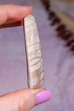 Tisbury Starstone Freeform Cabochon | 5.8cm | UK Fossil Tali & Loz Crystals