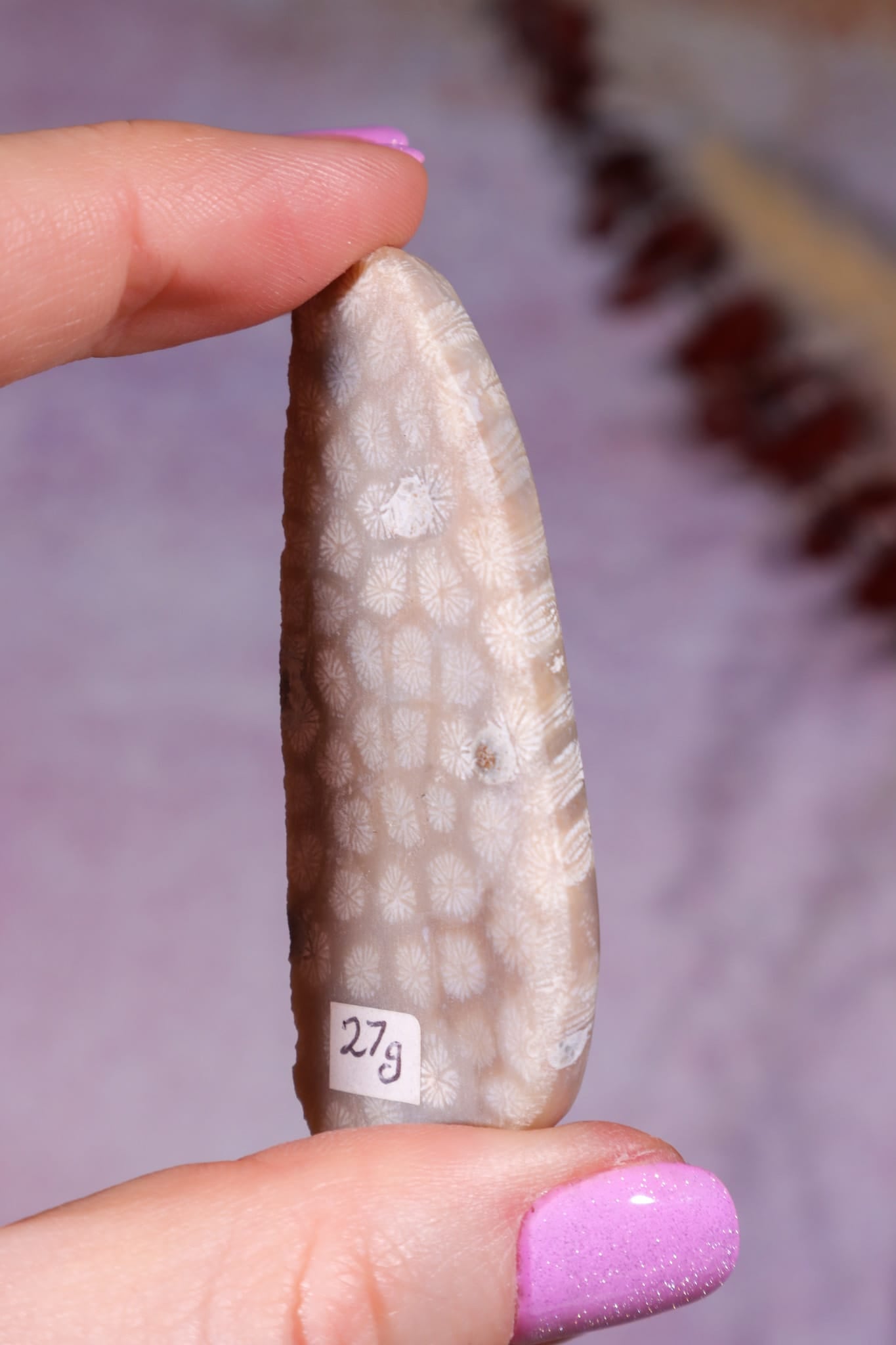 Tisbury Starstone Freeform Cabochon | 5.8cm | UK Fossil Tali & Loz Crystals
