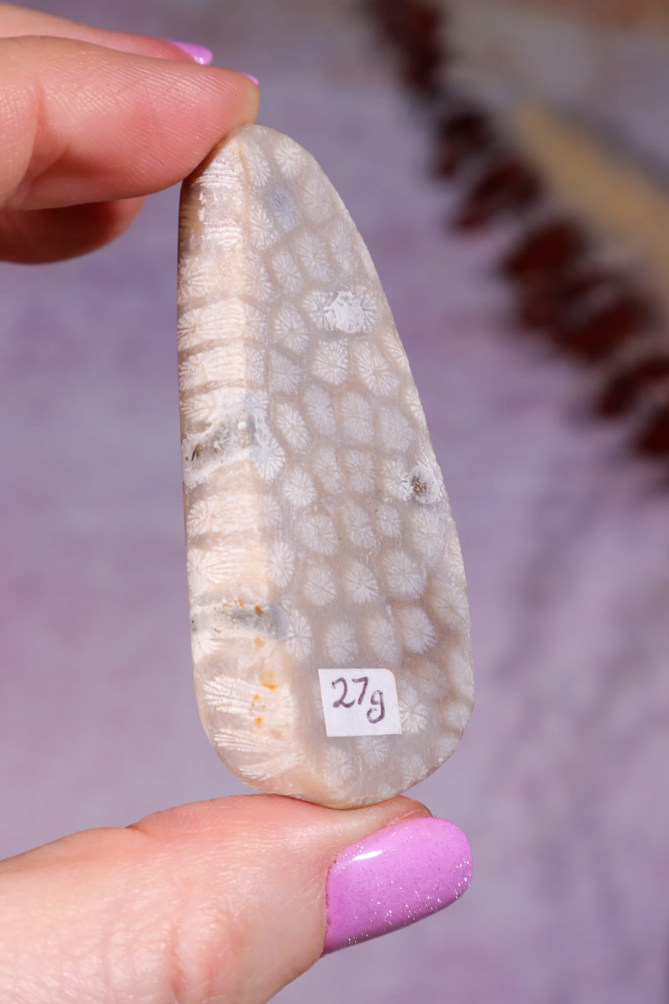 Tisbury Starstone Freeform Cabochon | 5.8cm | UK Fossil Tali & Loz Crystals