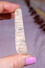 Tisbury Starstone Freeform Cabochon | 5.8cm | UK Fossil Tali & Loz Crystals