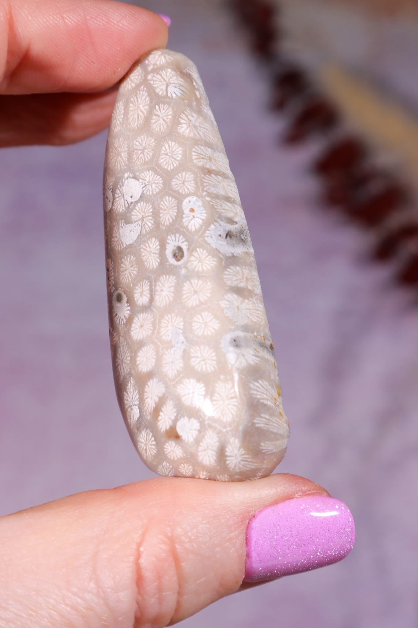 Tisbury Starstone Freeform Cabochon | 5.8cm | UK Fossil Tali & Loz Crystals