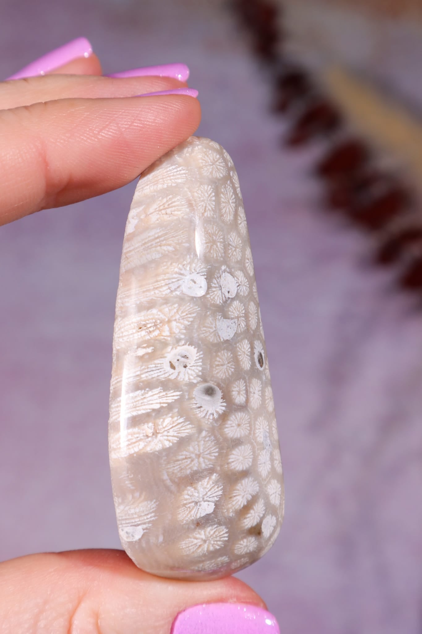 Tisbury Starstone Freeform Cabochon | 5.8cm | UK Fossil Tali & Loz Crystals