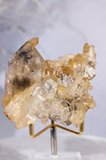 Tourmaline in Iron Stained Etched Quartz Cluster Specimen 211gr - Tali & Loz Crystals