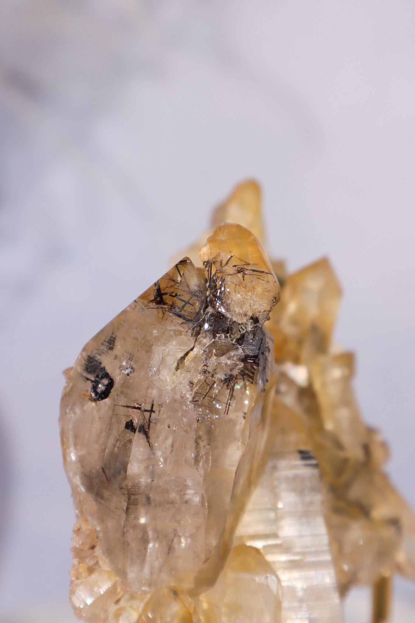 Tourmaline in Iron Stained Etched Quartz Cluster Specimen 211gr - Tali & Loz Crystals