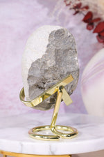 Trilobite Fossil 280gr, Sold as Seen Fossil Tali & Loz Crystals