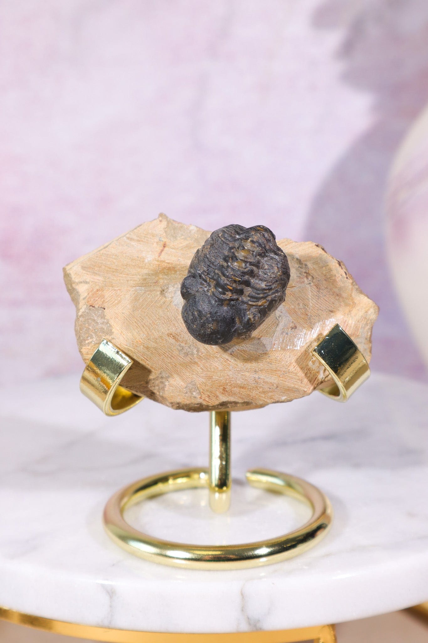 Trilobite Fossil 84.7gr, Sold as Seen Fossil Tali & Loz Crystals