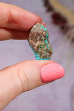 Turquoise Rough | 1-2cm | Kingman Mine, Arizona, USA Rough Tali & Loz Crystals