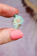 Turquoise Rough | 1-2cm | Kingman Mine, Arizona, USA Rough Tali & Loz Crystals