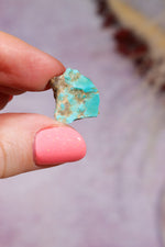 Turquoise Rough | 1-2cm | Kingman Mine, Arizona, USA Rough Tali & Loz Crystals