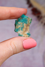 Turquoise Rough | 1-2cm | Kingman Mine, Arizona, USA Rough Tali & Loz Crystals