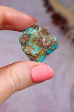 Turquoise Rough | 2-3cm | Kingman Mine, Arizona, USA Rough Tali & Loz Crystals