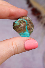 Turquoise Rough | 2-3cm | Kingman Mine, Arizona, USA Rough Tali & Loz Crystals