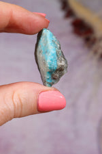 Turquoise Rough | 2-3cm | Kingman Mine, Arizona, USA Rough Tali & Loz Crystals