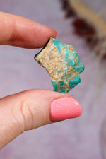 Turquoise Rough | 2-3cm | Kingman Mine, Arizona, USA Rough Tali & Loz Crystals
