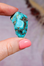 Turquoise with Pyrite 3.2cm | Morenci, Arizona, USA Freeform Tali & Loz