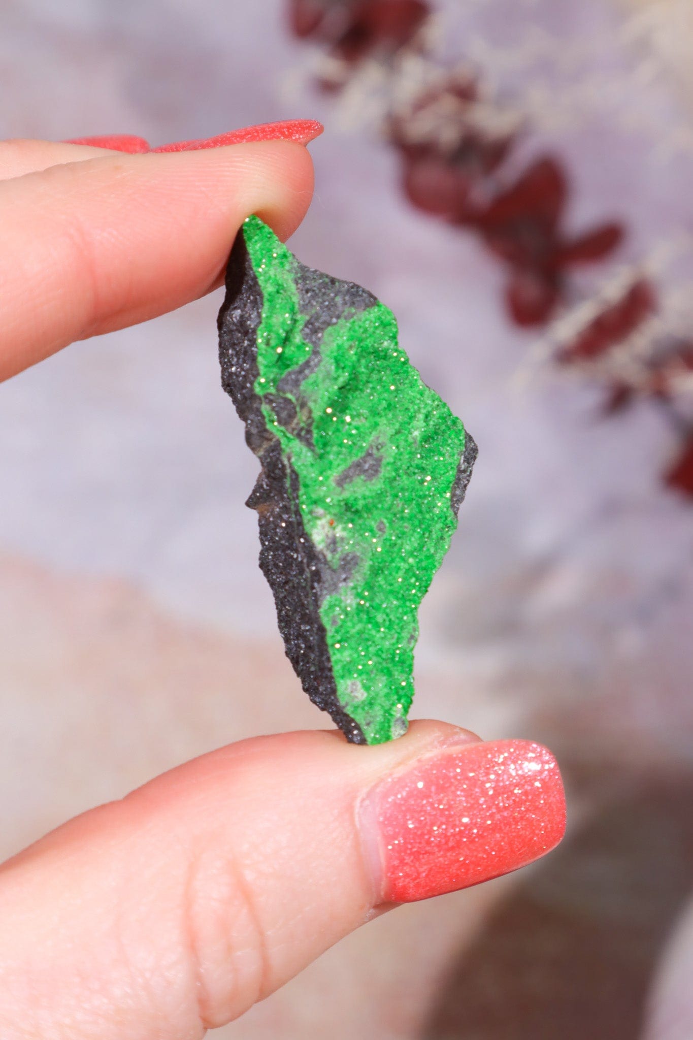 Uvarovite Garnet Specimen 11.9gr Specimens Tali & Loz Crystals