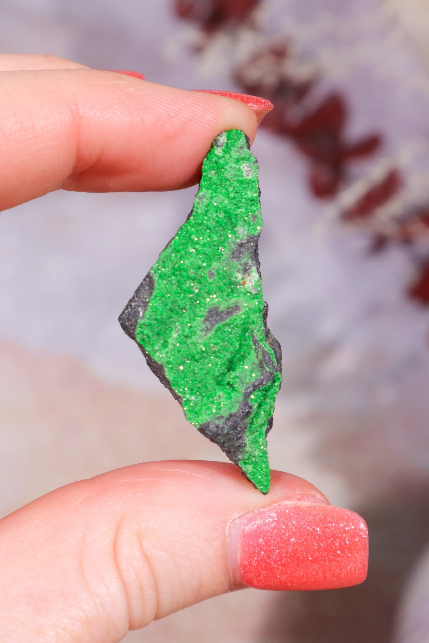 Uvarovite Garnet Specimen 11.9gr Specimens Tali & Loz Crystals
