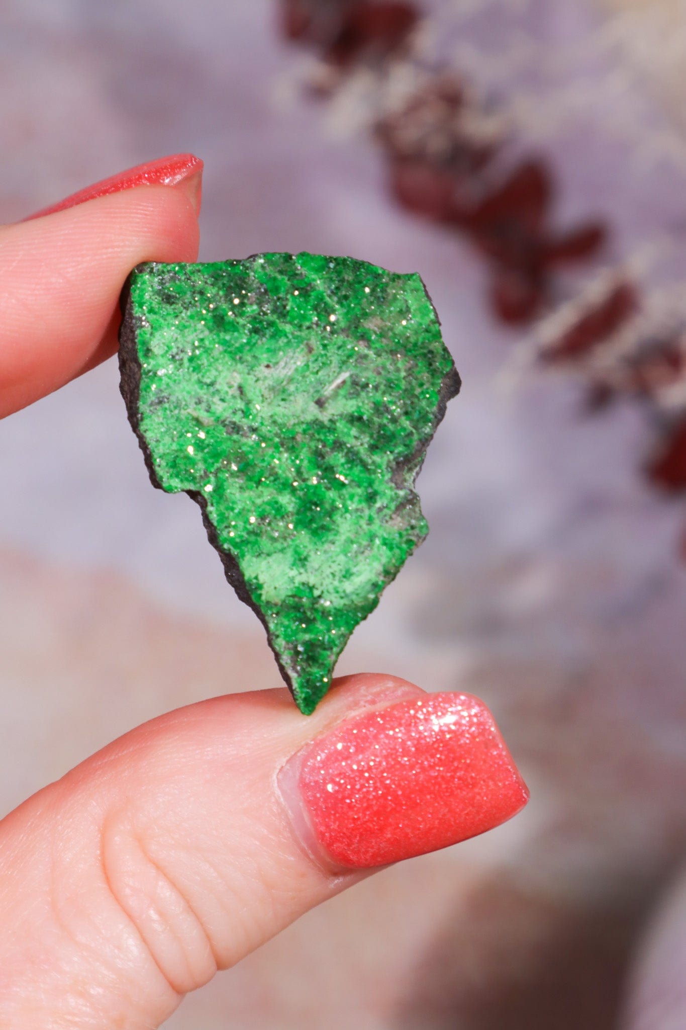 Uvarovite Garnet Specimen 7.8g Specimens Tali & Loz Crystals