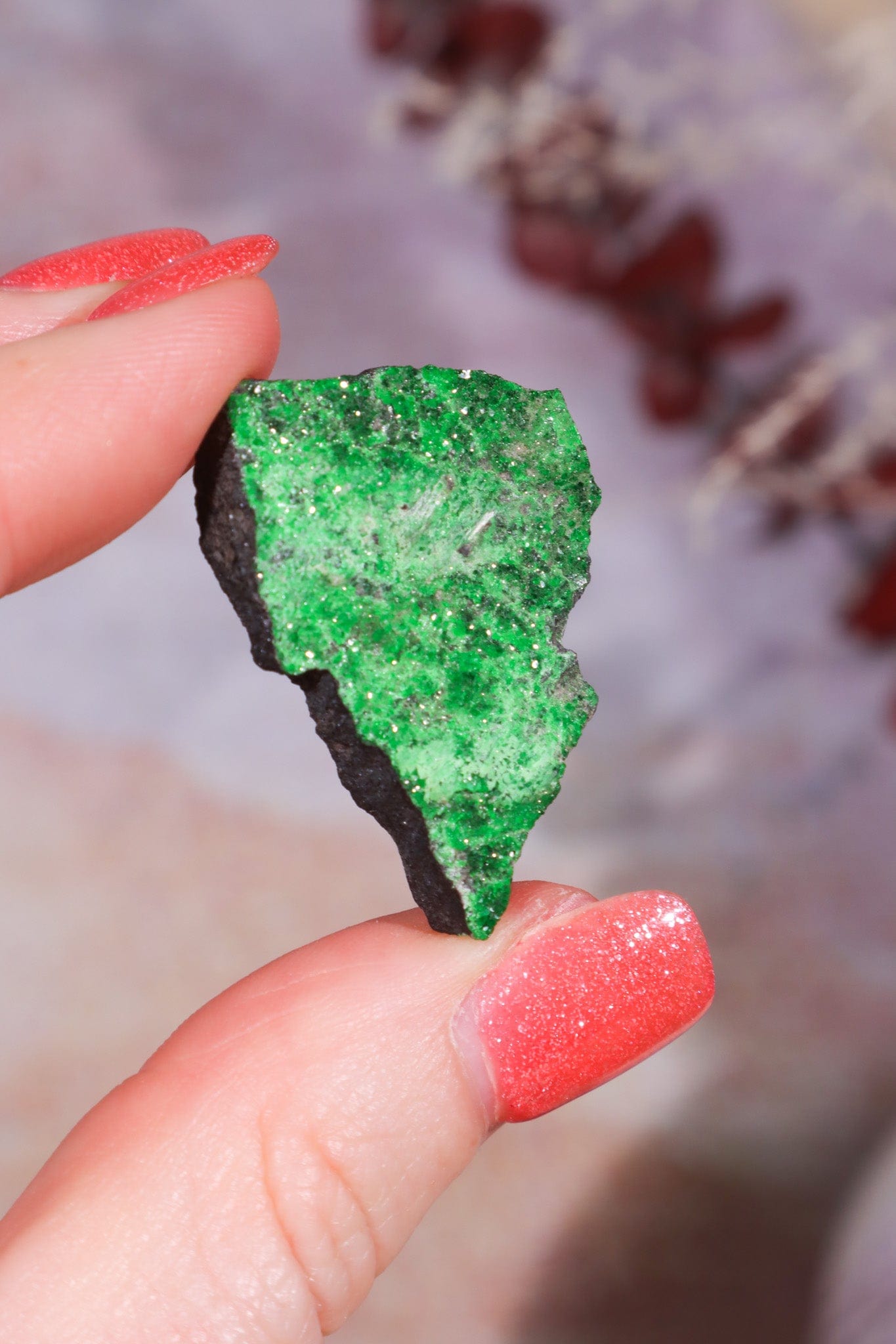 Uvarovite Garnet Specimen 7.8g Specimens Tali & Loz Crystals