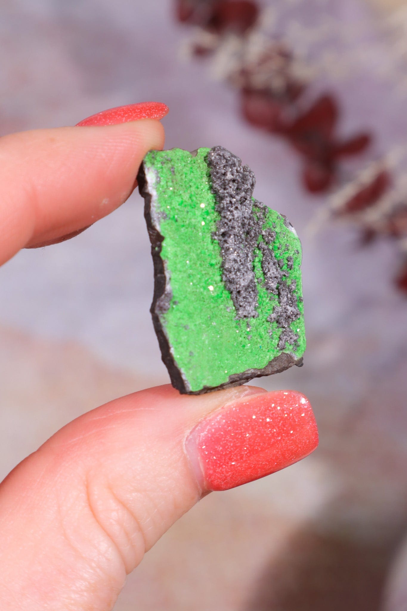 Uvarovite Garnet Specimen 7.9 gr Specimens Tali & Loz Crystals