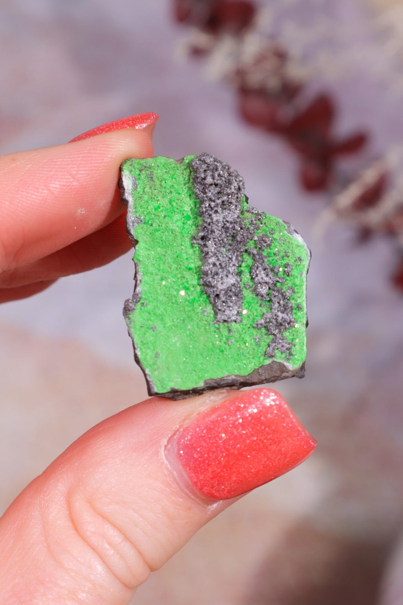 Uvarovite Garnet Specimen 7.9 gr Specimens Tali & Loz Crystals